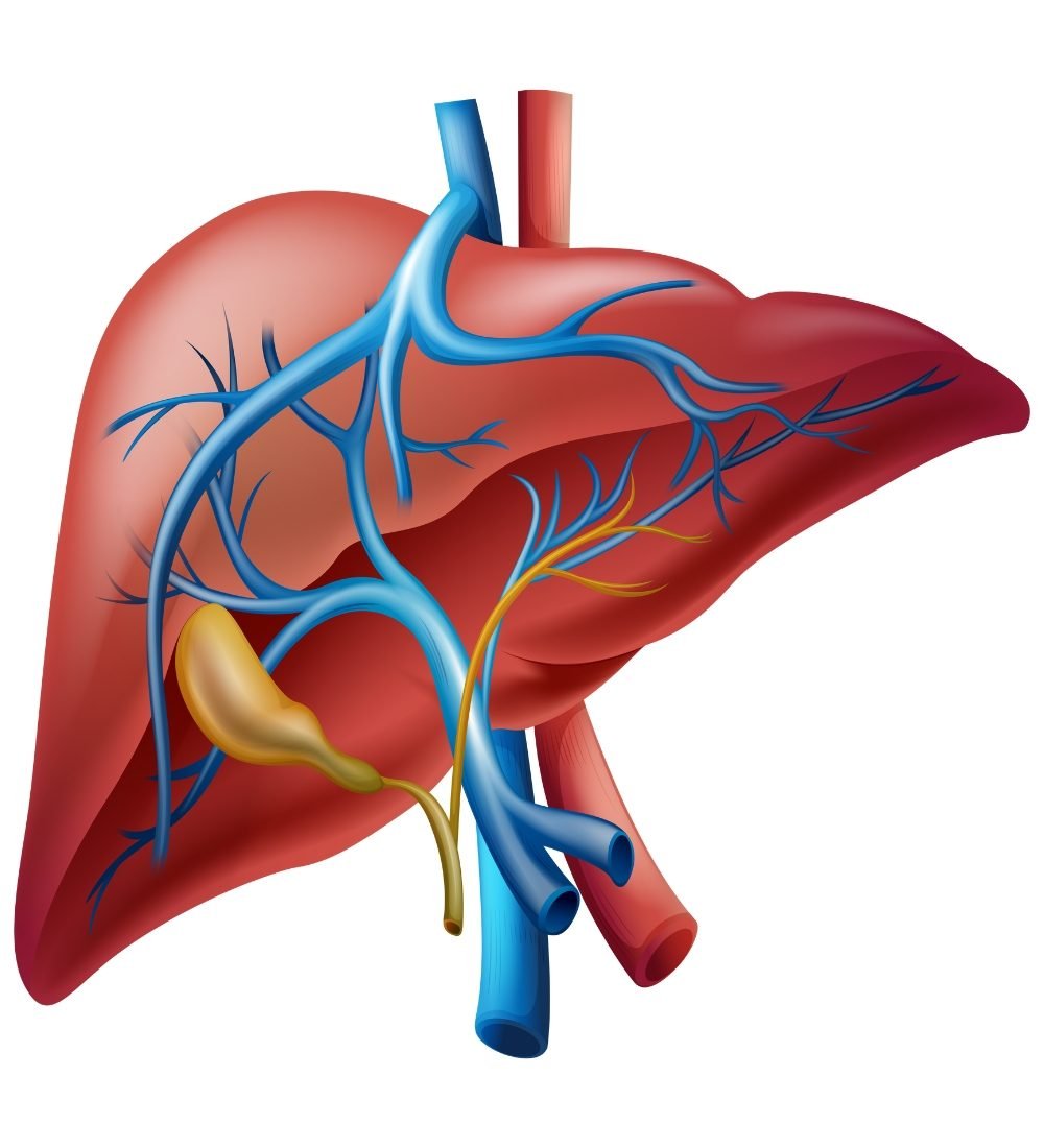 xr:d:DAGBl0o3GEs:12,j:6885301894266518978,t:24040523